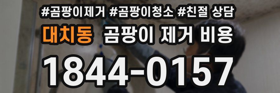 대치동 곰팡이 제거 비용