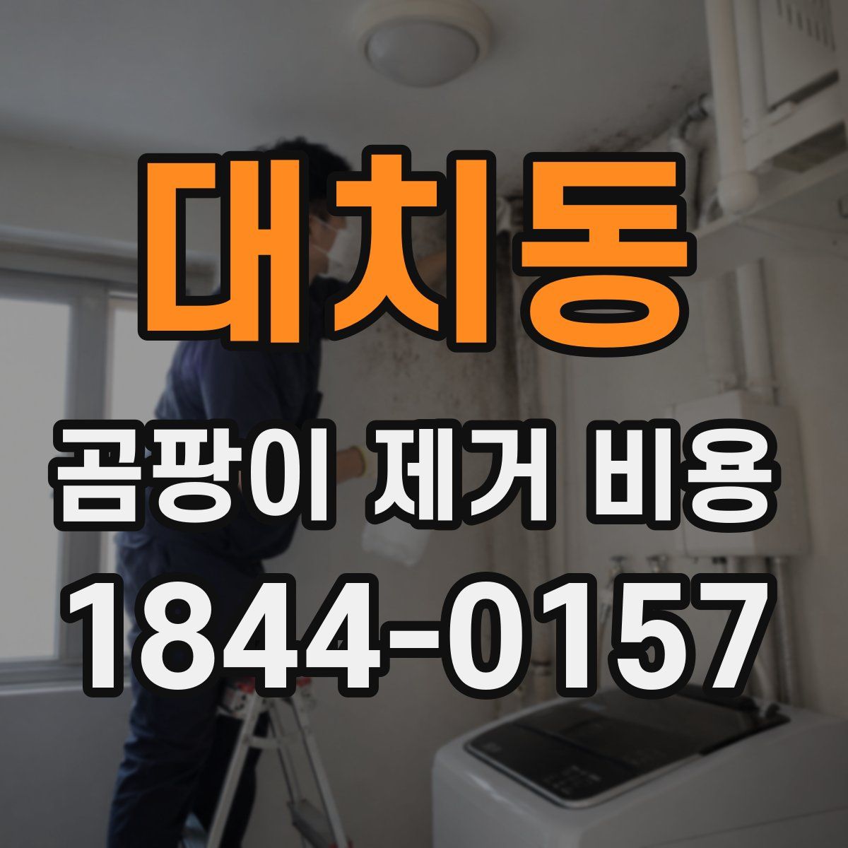 대치동 곰팡이 제거 비용