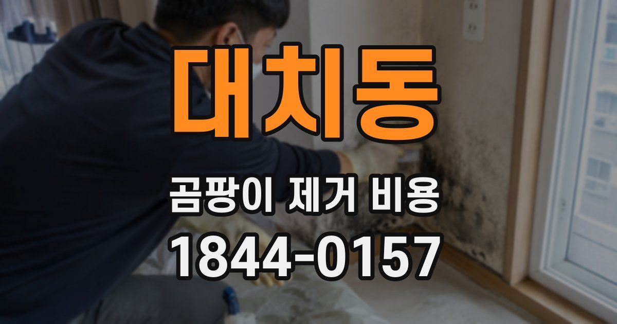 대치동 곰팡이 제거 비용