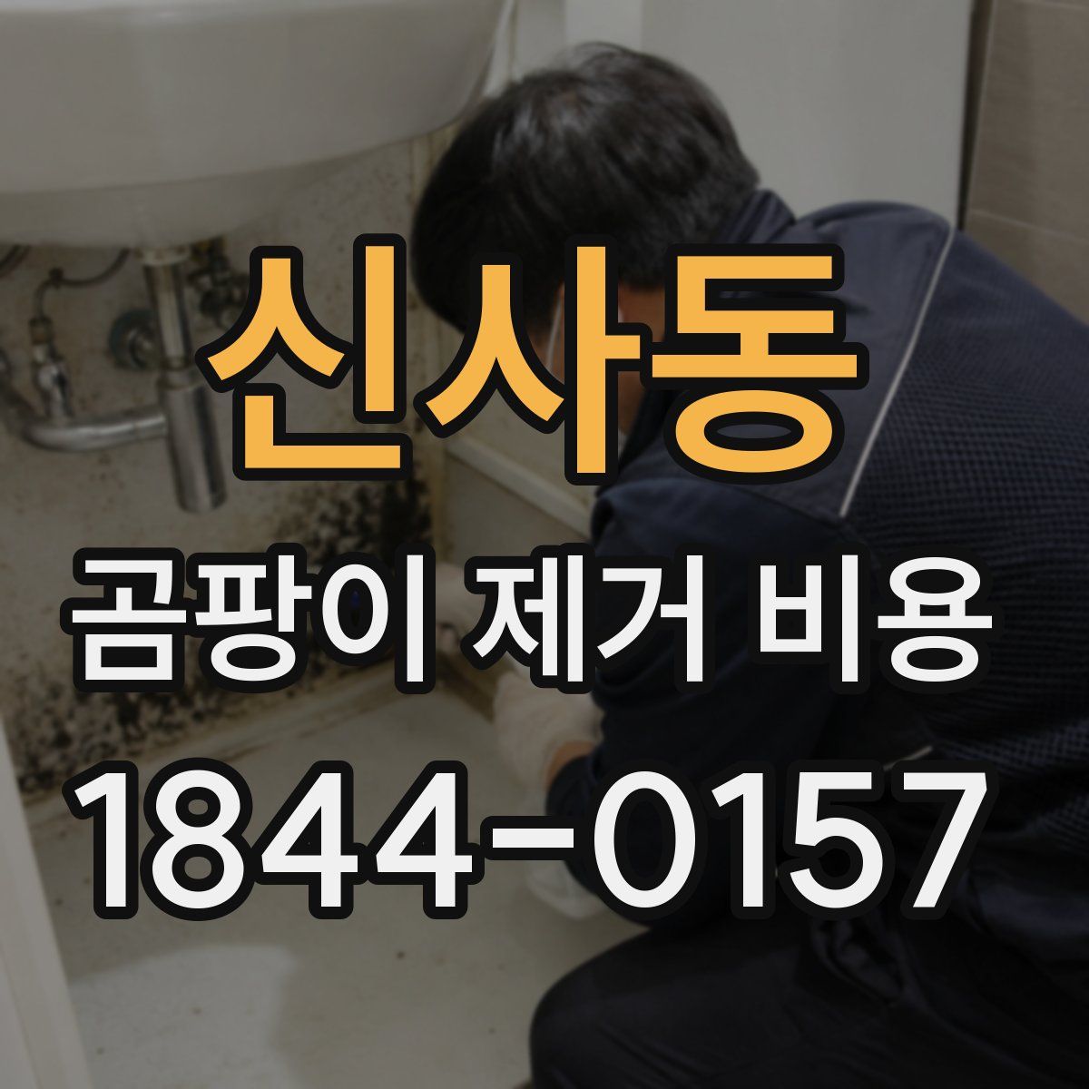신사동 곰팡이 제거 비용