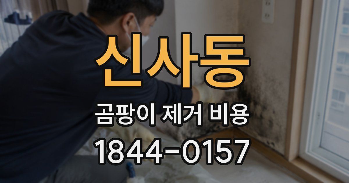 신사동 곰팡이 제거 비용