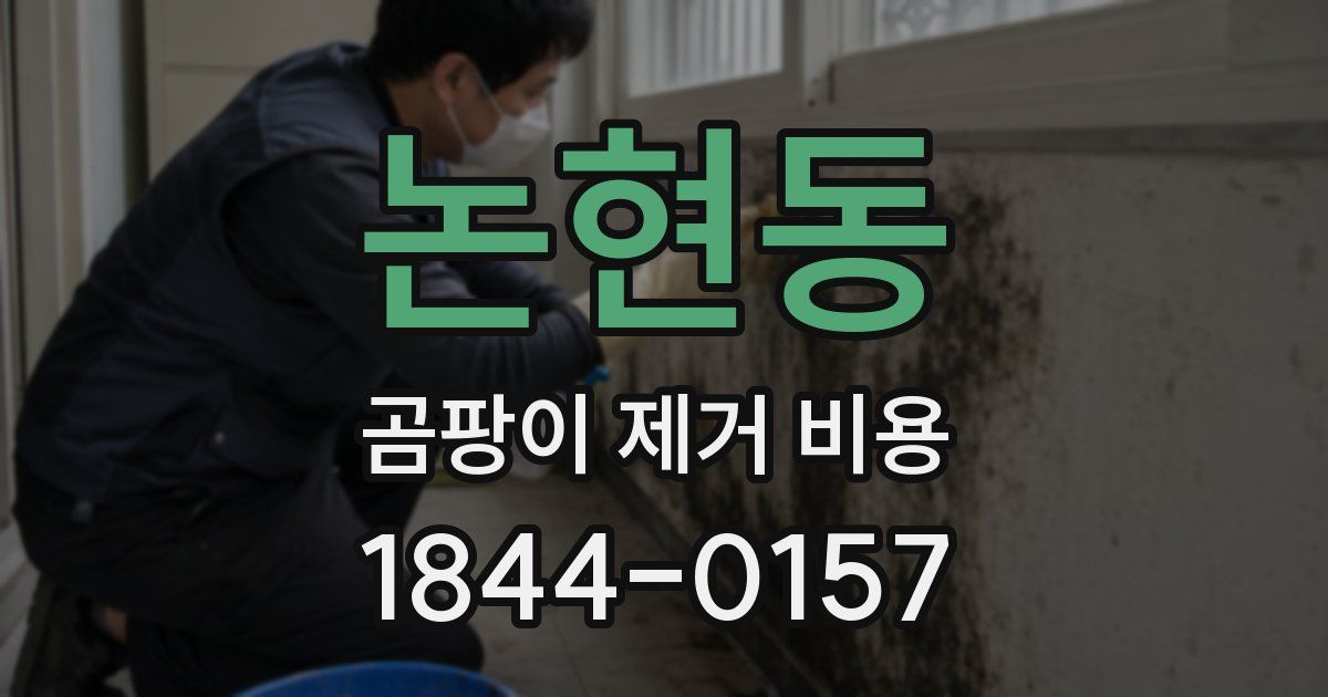 논현동 곰팡이 제거 비용