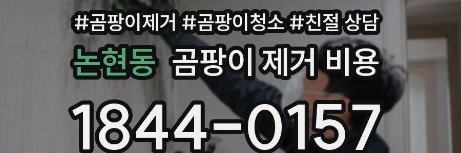 논현동 곰팡이 제거 비용