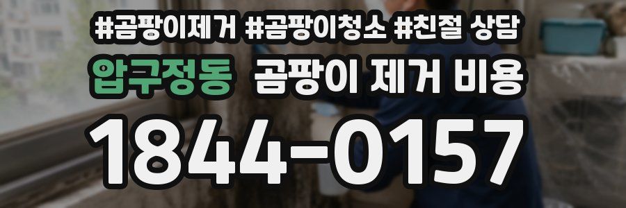 압구정동 곰팡이 제거 비용