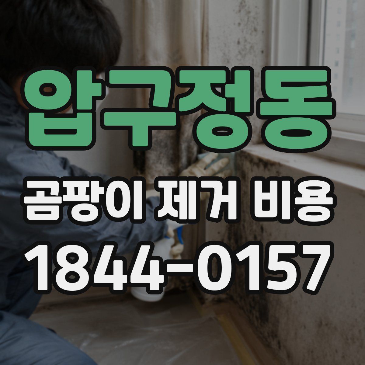 압구정동 곰팡이 제거 비용