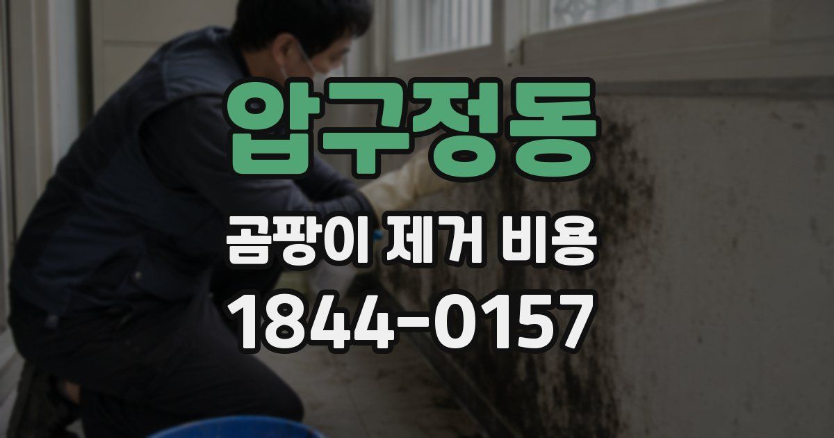 압구정동 곰팡이 제거 비용