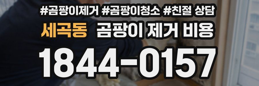 세곡동 곰팡이 제거 비용