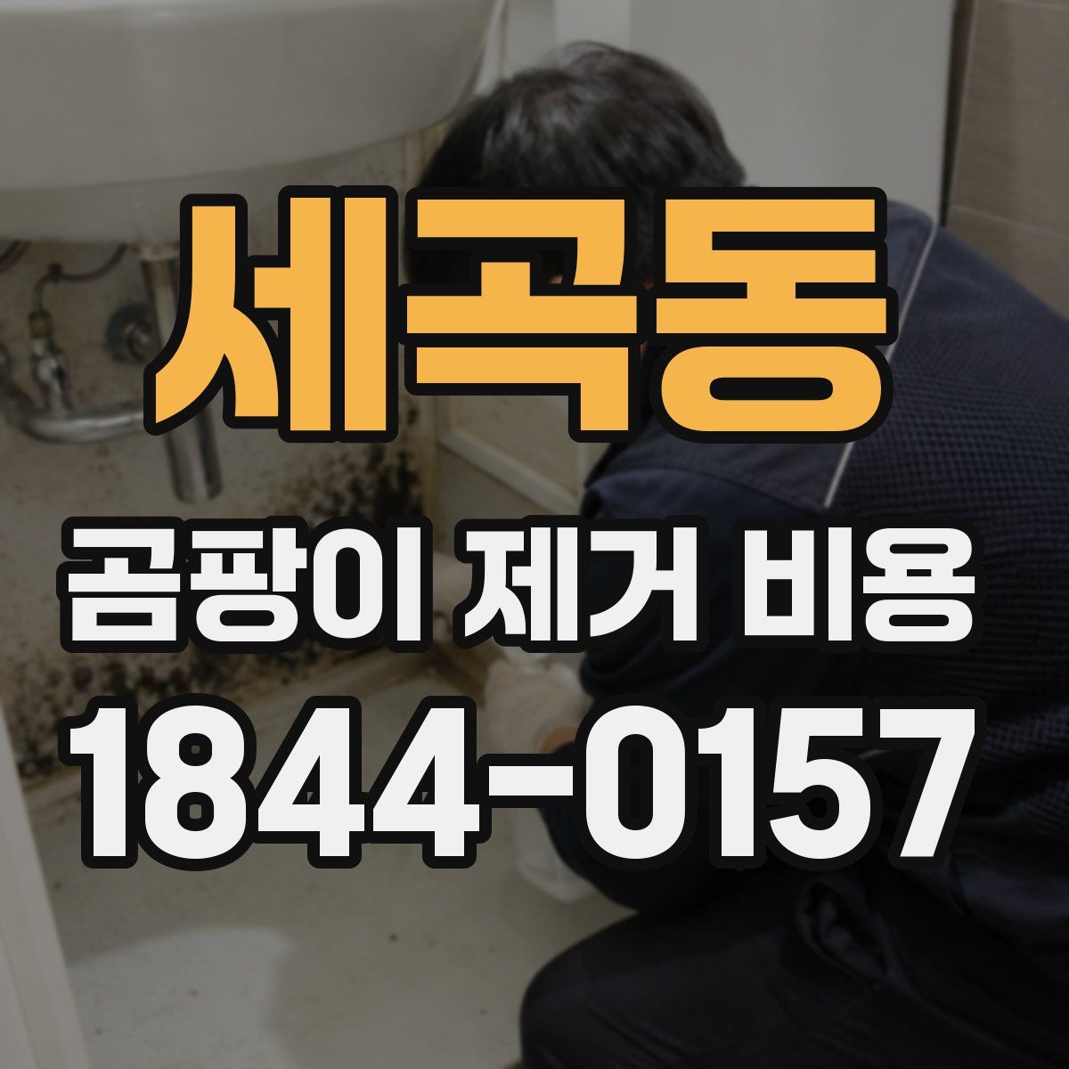 세곡동 곰팡이 제거 비용