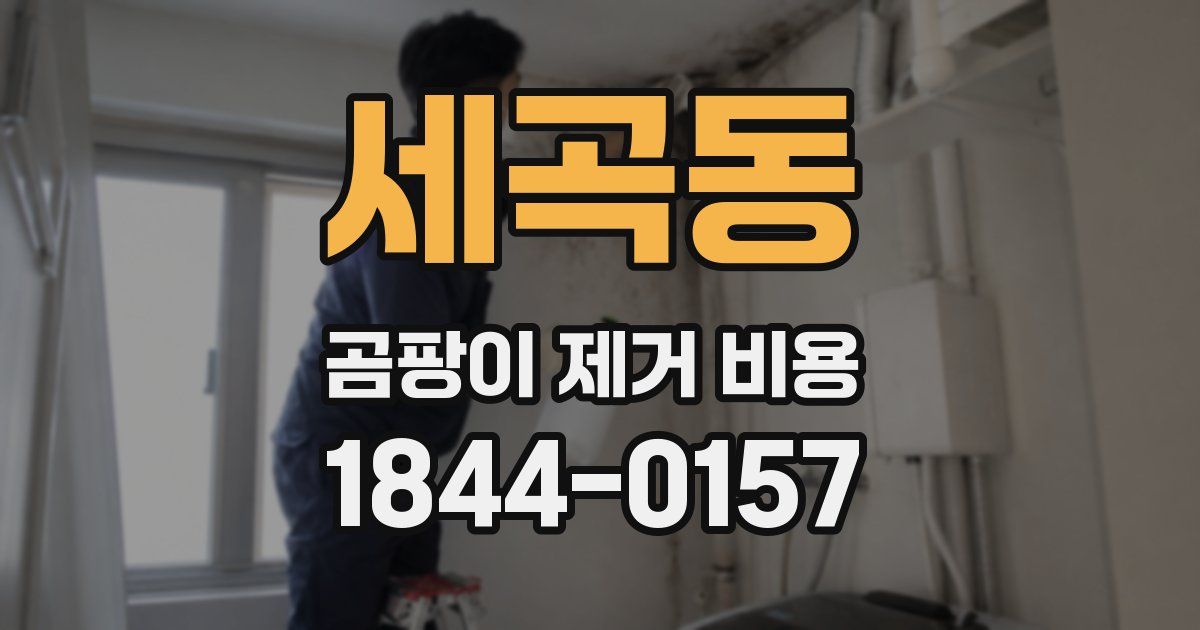 세곡동 곰팡이 제거 비용