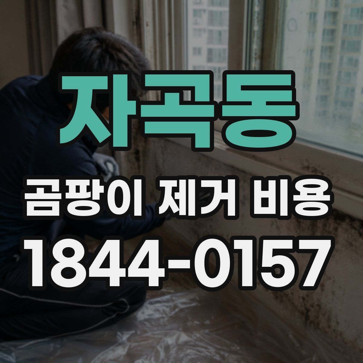 자곡동 곰팡이 제거 비용 생활 공간별 시공 방식 살펴보기
