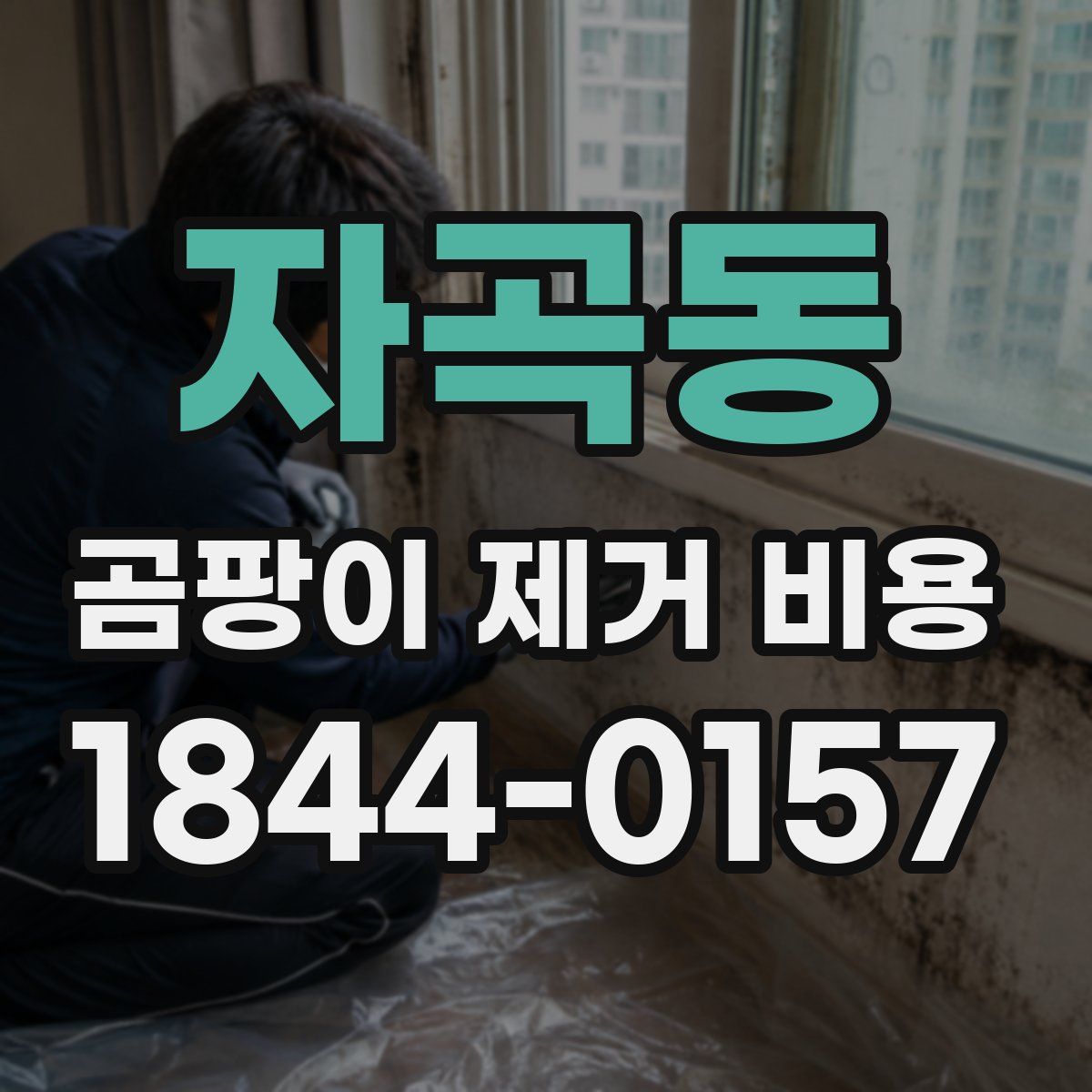 자곡동 곰팡이 제거 비용