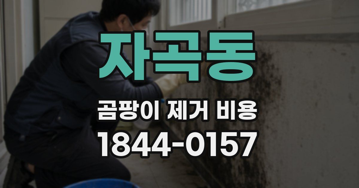 자곡동 곰팡이 제거 비용