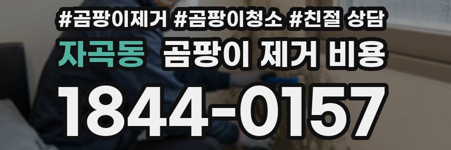 자곡동 곰팡이 제거 비용