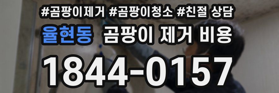 율현동 곰팡이 제거 비용