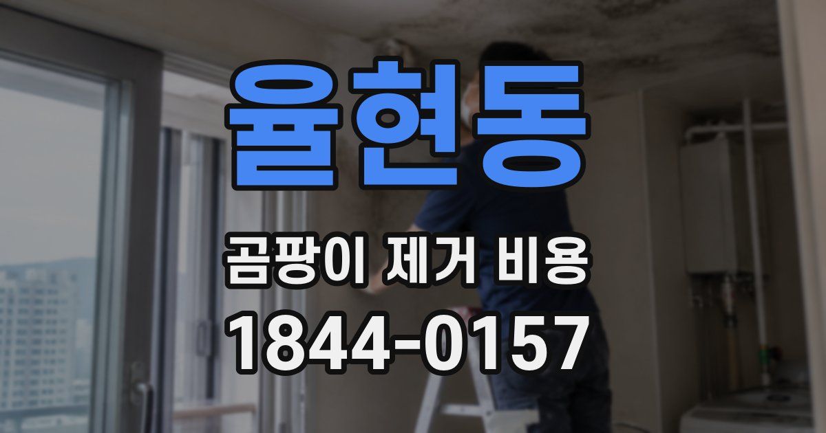 율현동 곰팡이 제거 비용