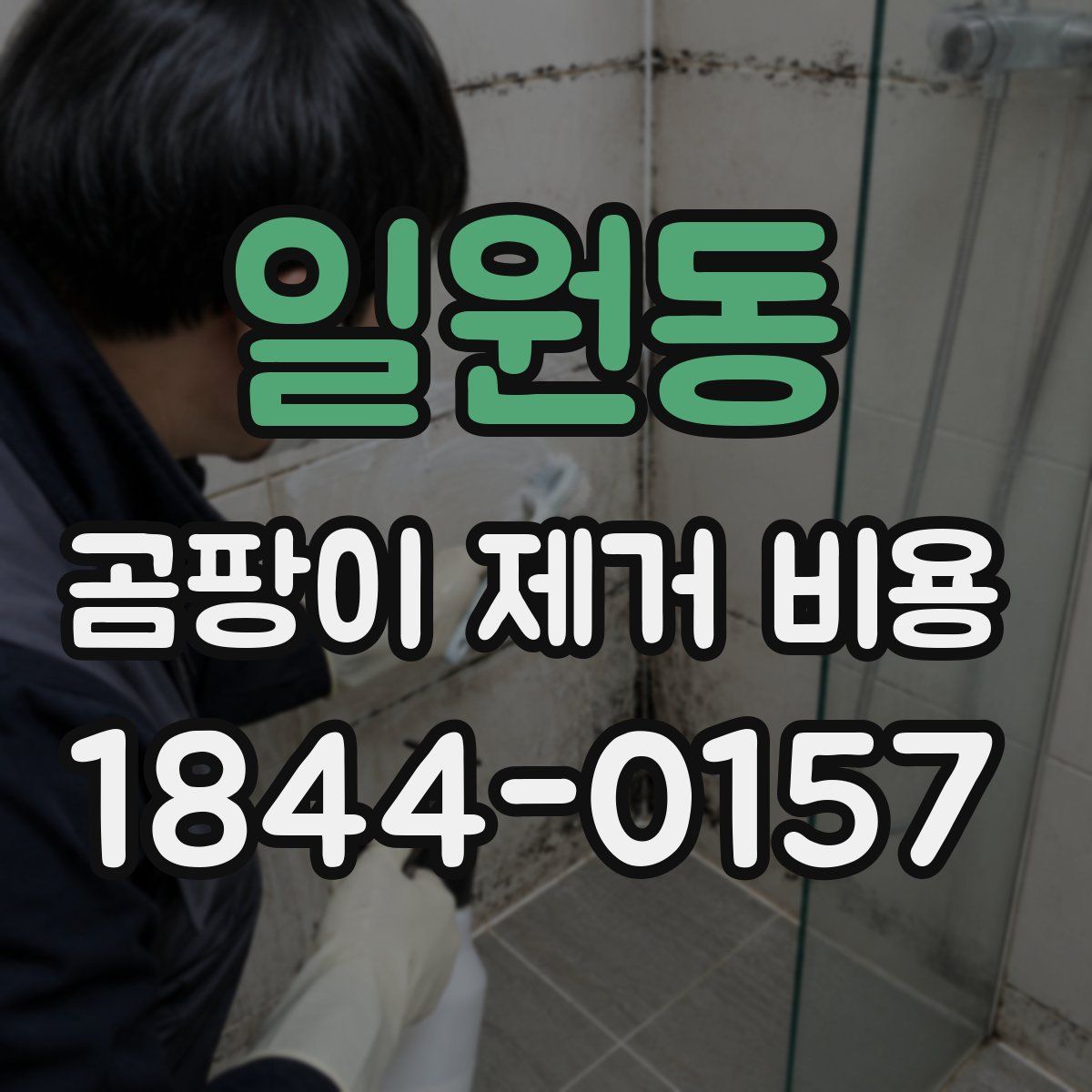 일원동 곰팡이 제거 비용