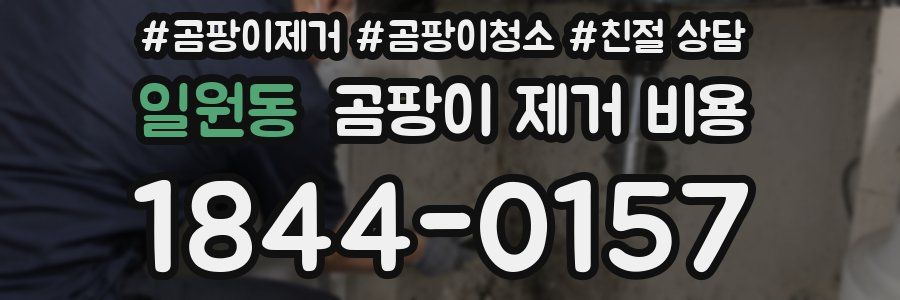 일원동 곰팡이 제거 비용