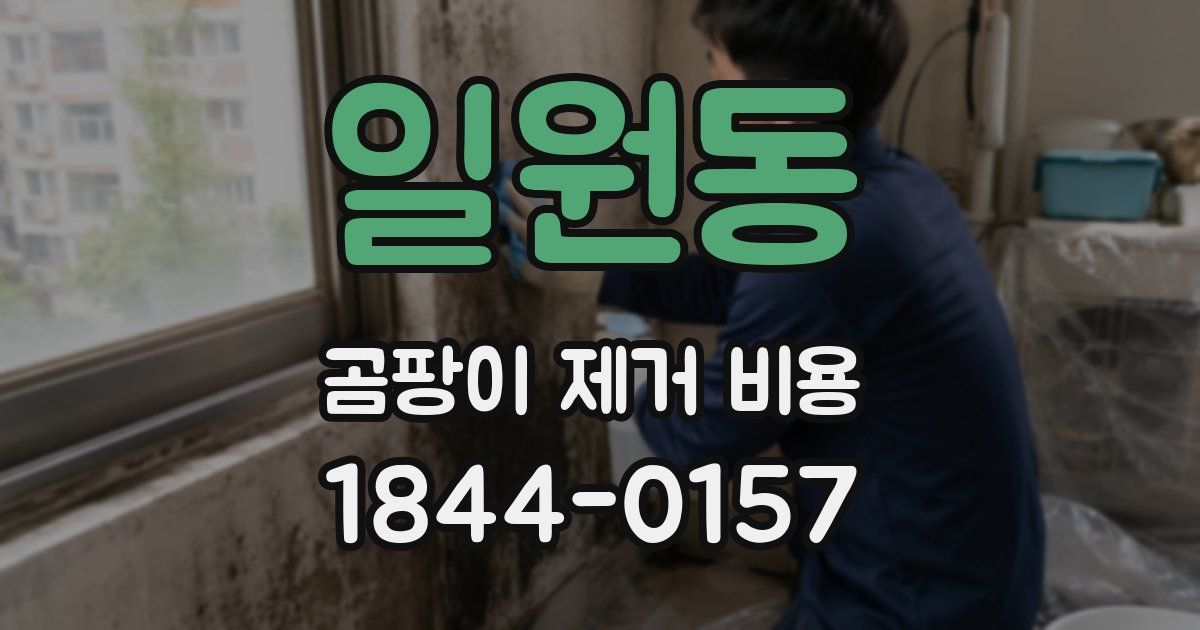 일원동 곰팡이 제거 비용