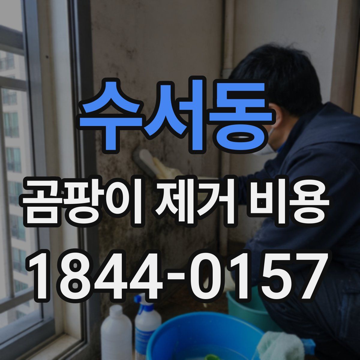 수서동 곰팡이 제거 비용