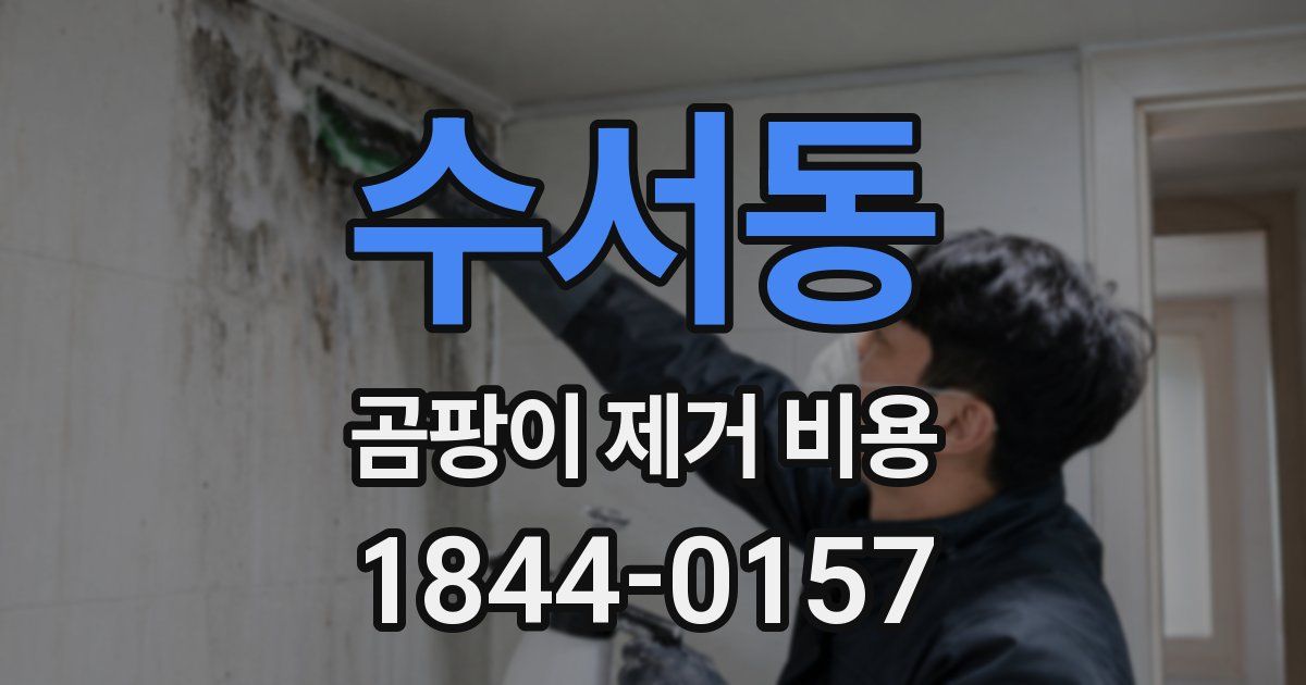 수서동 곰팡이 제거 비용