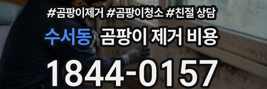 수서동 곰팡이 제거 비용