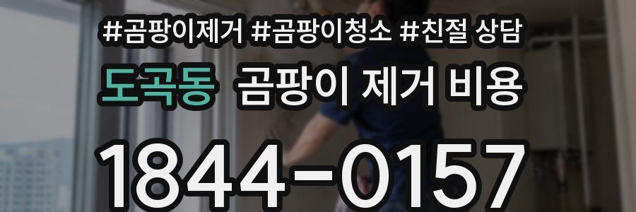 도곡동 곰팡이 제거 비용