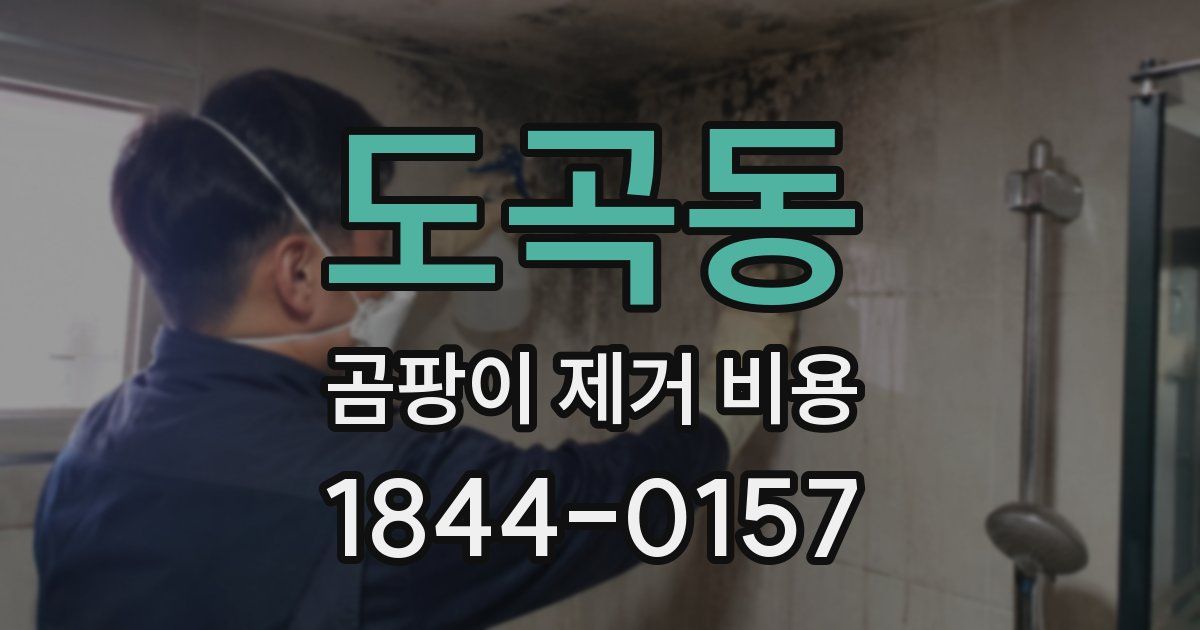 도곡동 곰팡이 제거 비용