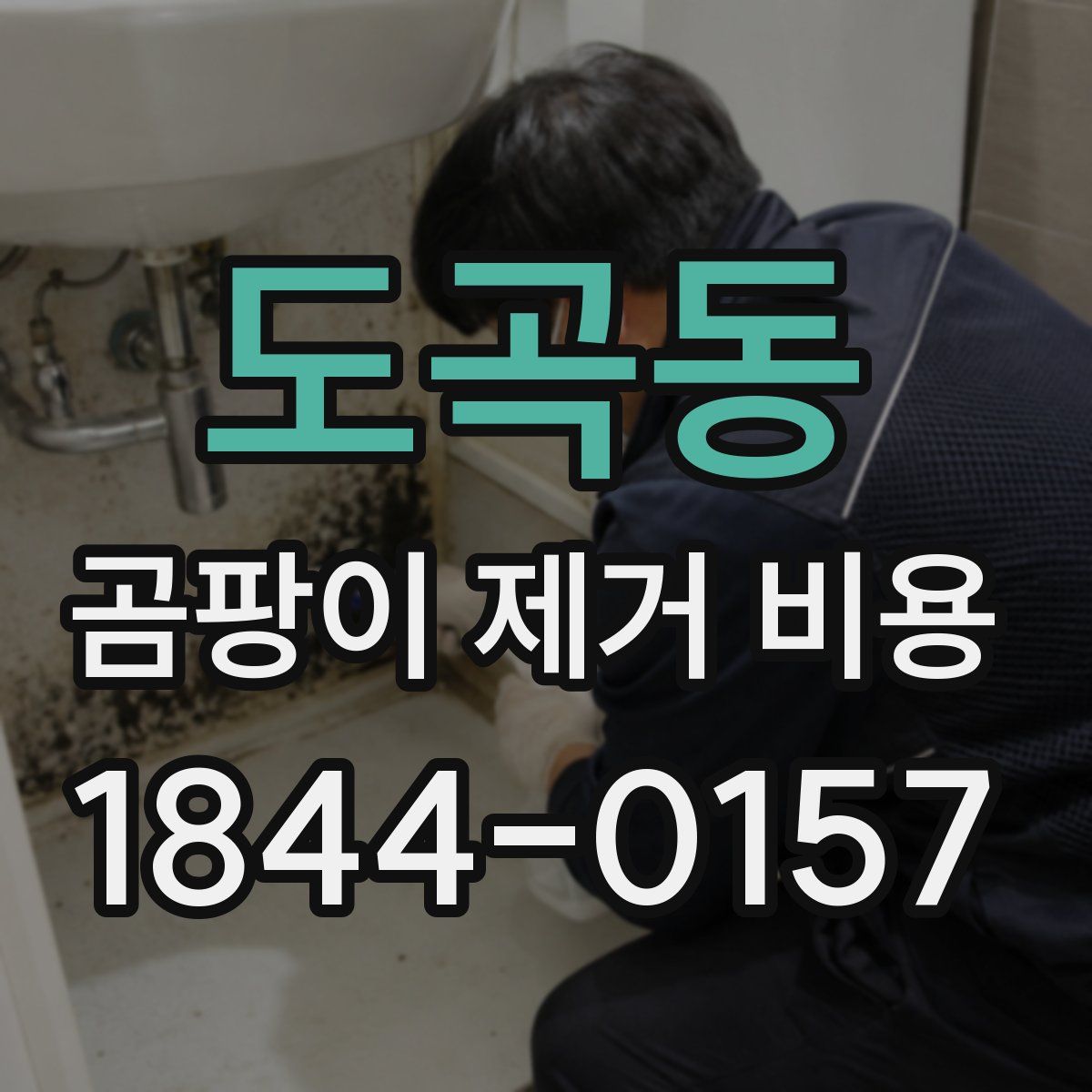 도곡동 곰팡이 제거 비용