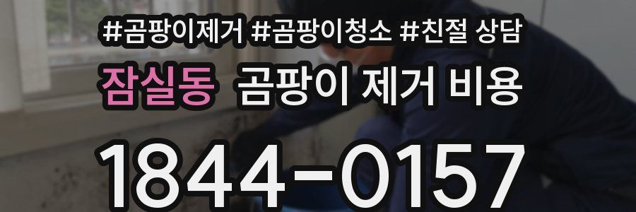 잠실동 곰팡이 제거 비용