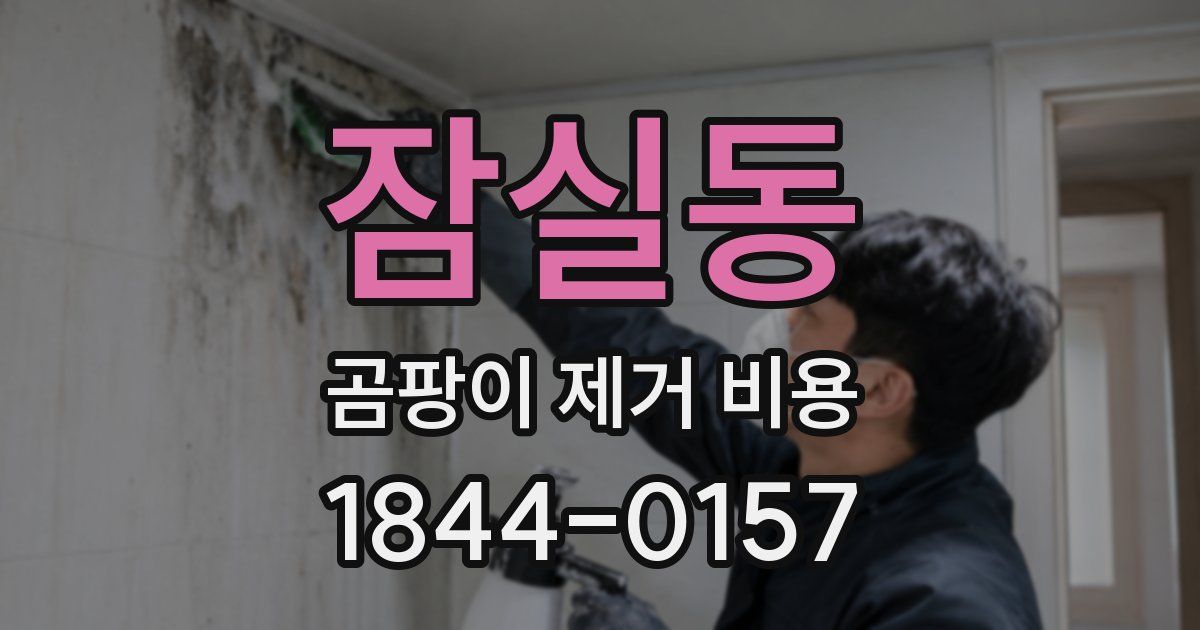 잠실동 곰팡이 제거 비용