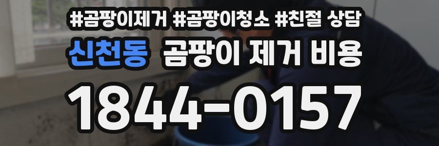 신천동 곰팡이 제거 비용