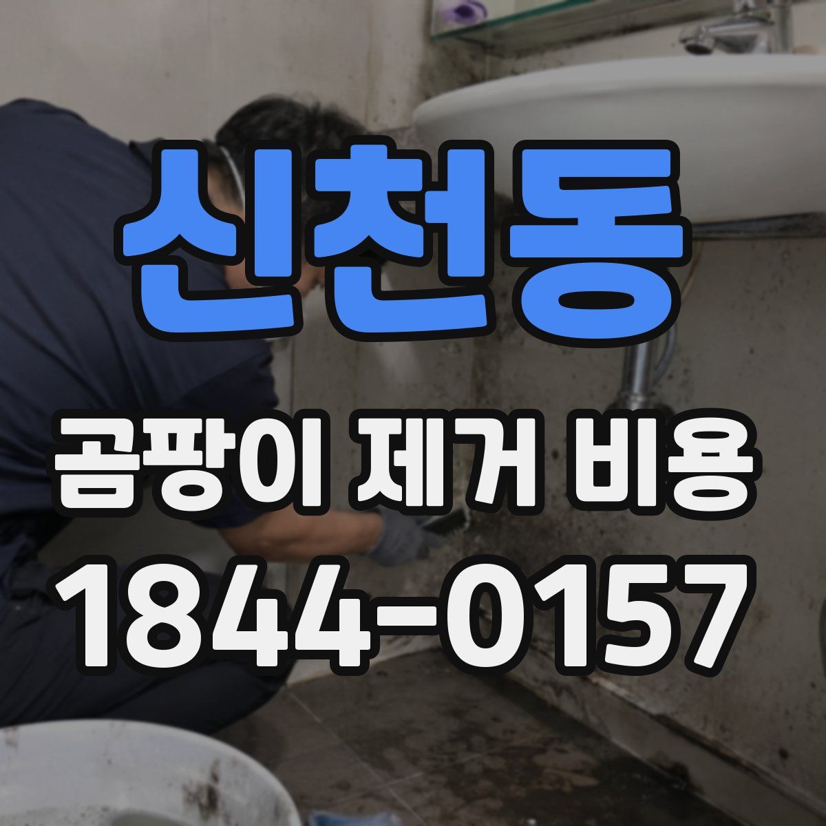 신천동 곰팡이 제거 비용