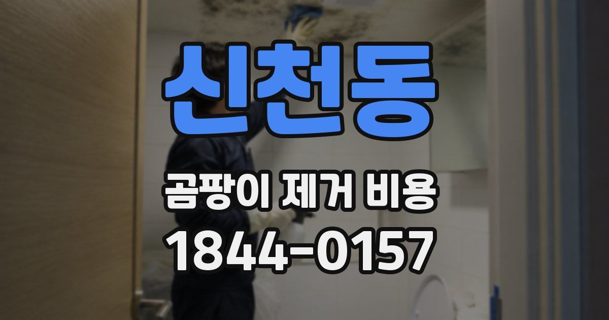 신천동 곰팡이 제거 비용