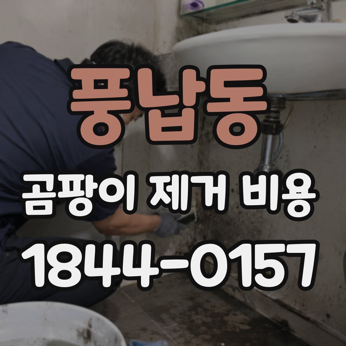 풍납동 곰팡이 제거 비용