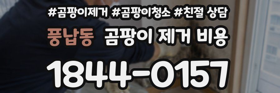 풍납동 곰팡이 제거 비용