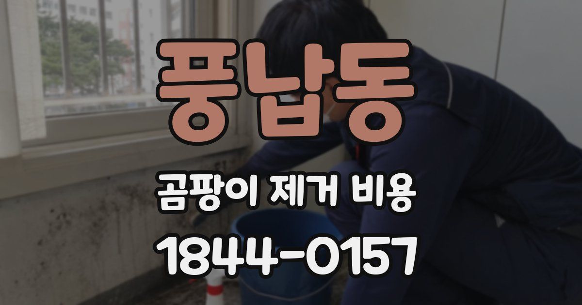 풍납동 곰팡이 제거 비용
