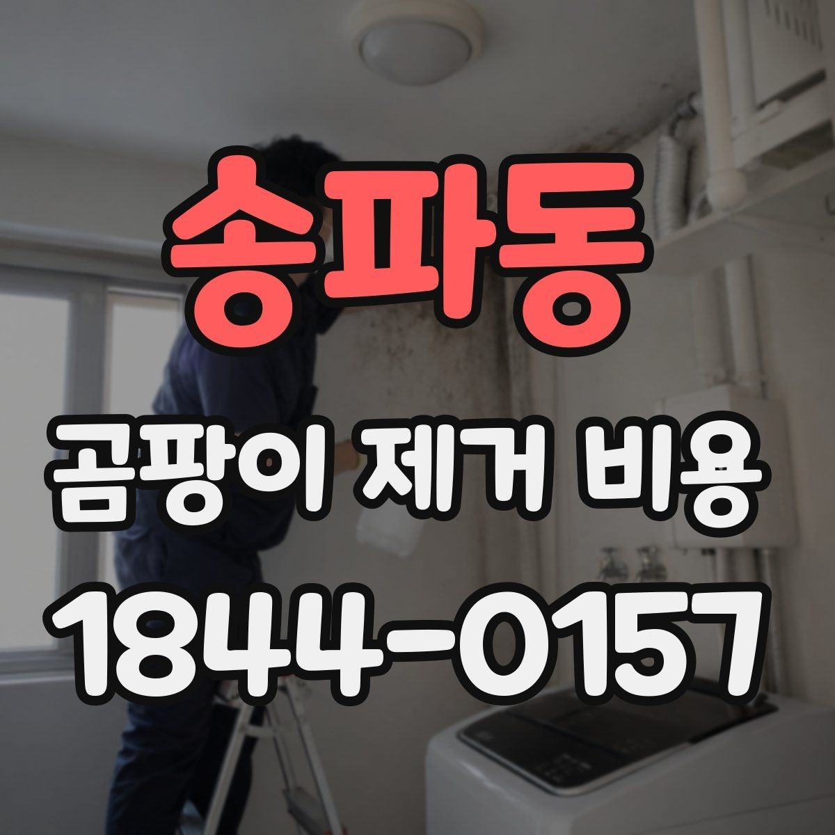 송파동 곰팡이 제거 비용 상담 전에 알아야 할 기준