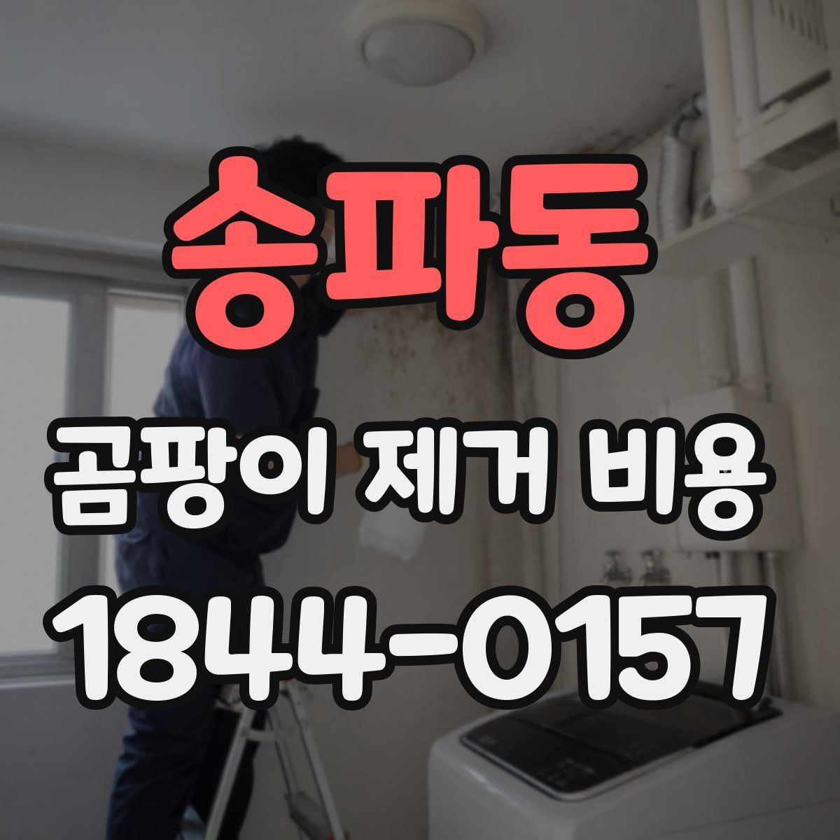 송파동 곰팡이 제거 비용