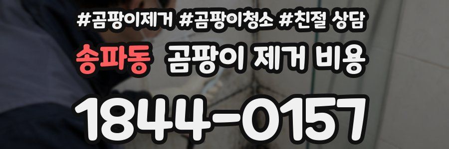 송파동 곰팡이 제거 비용
