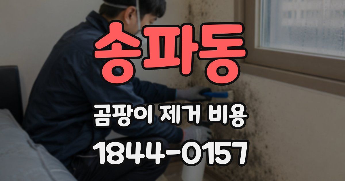 송파동 곰팡이 제거 비용
