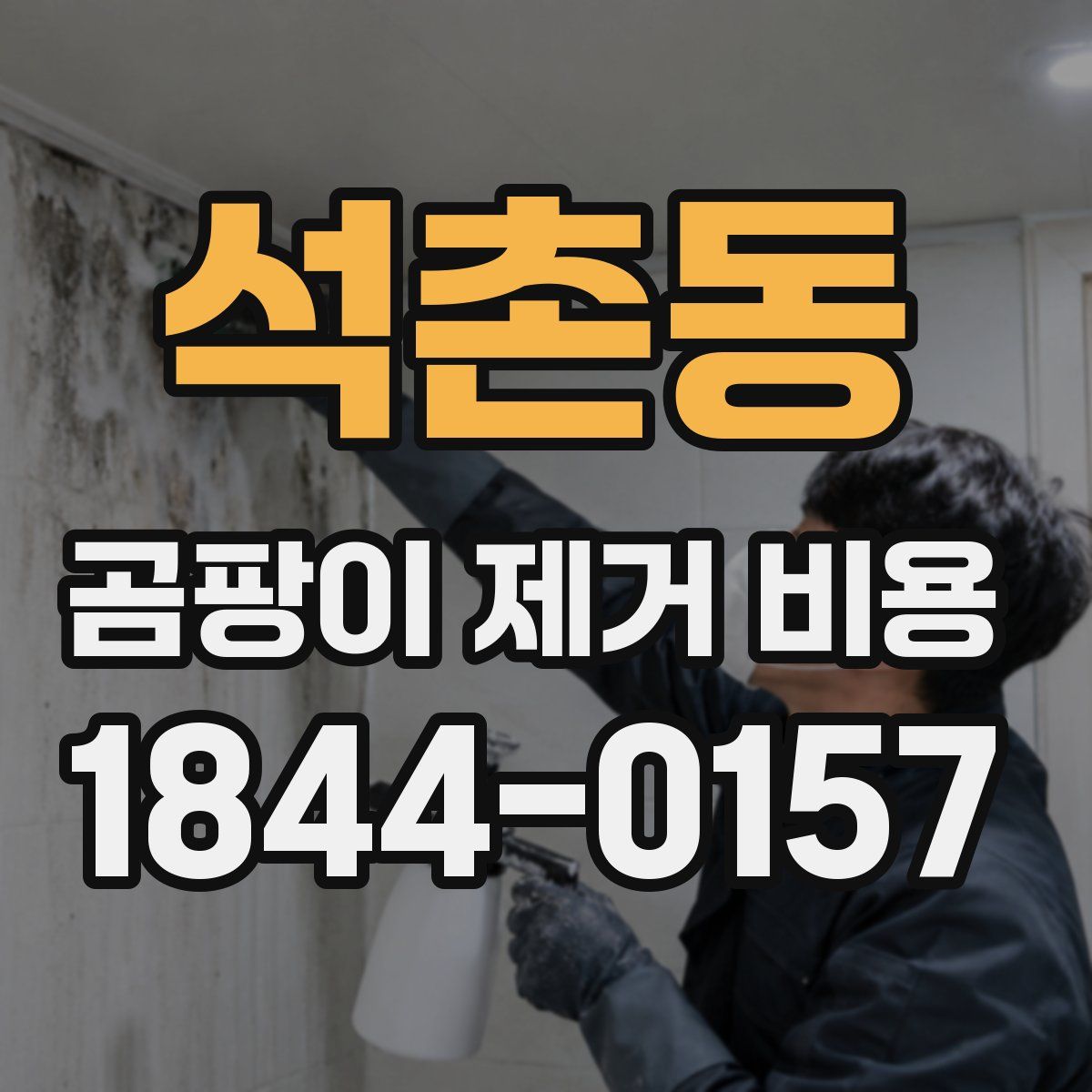 석촌동 곰팡이 제거 비용