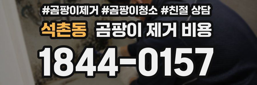 석촌동 곰팡이 제거 비용
