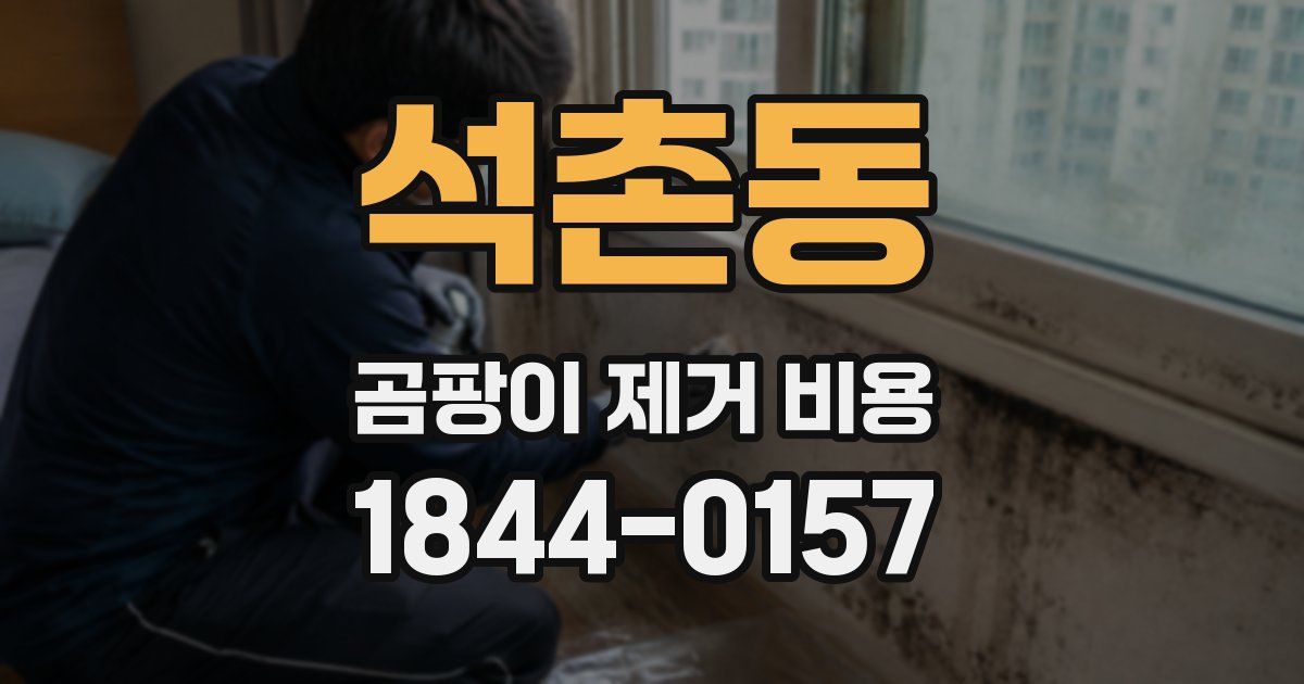 석촌동 곰팡이 제거 비용