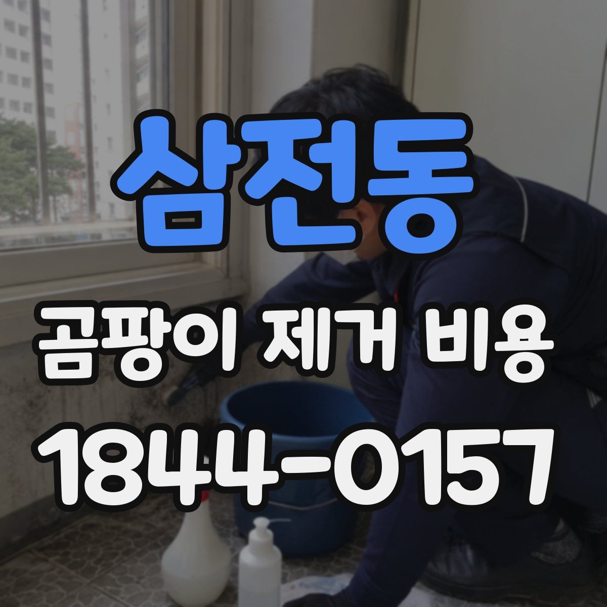 삼전동 곰팡이 제거 비용