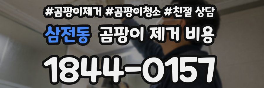 삼전동 곰팡이 제거 비용