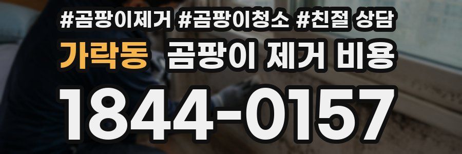 가락동 곰팡이 제거 비용