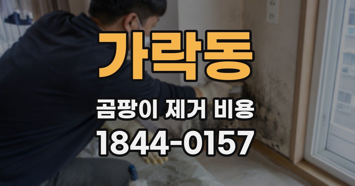 가락동 곰팡이 제거 비용