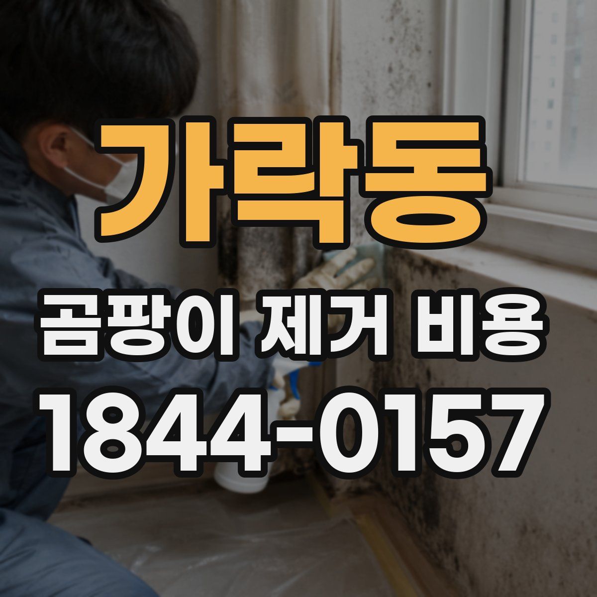 가락동 곰팡이 제거 비용