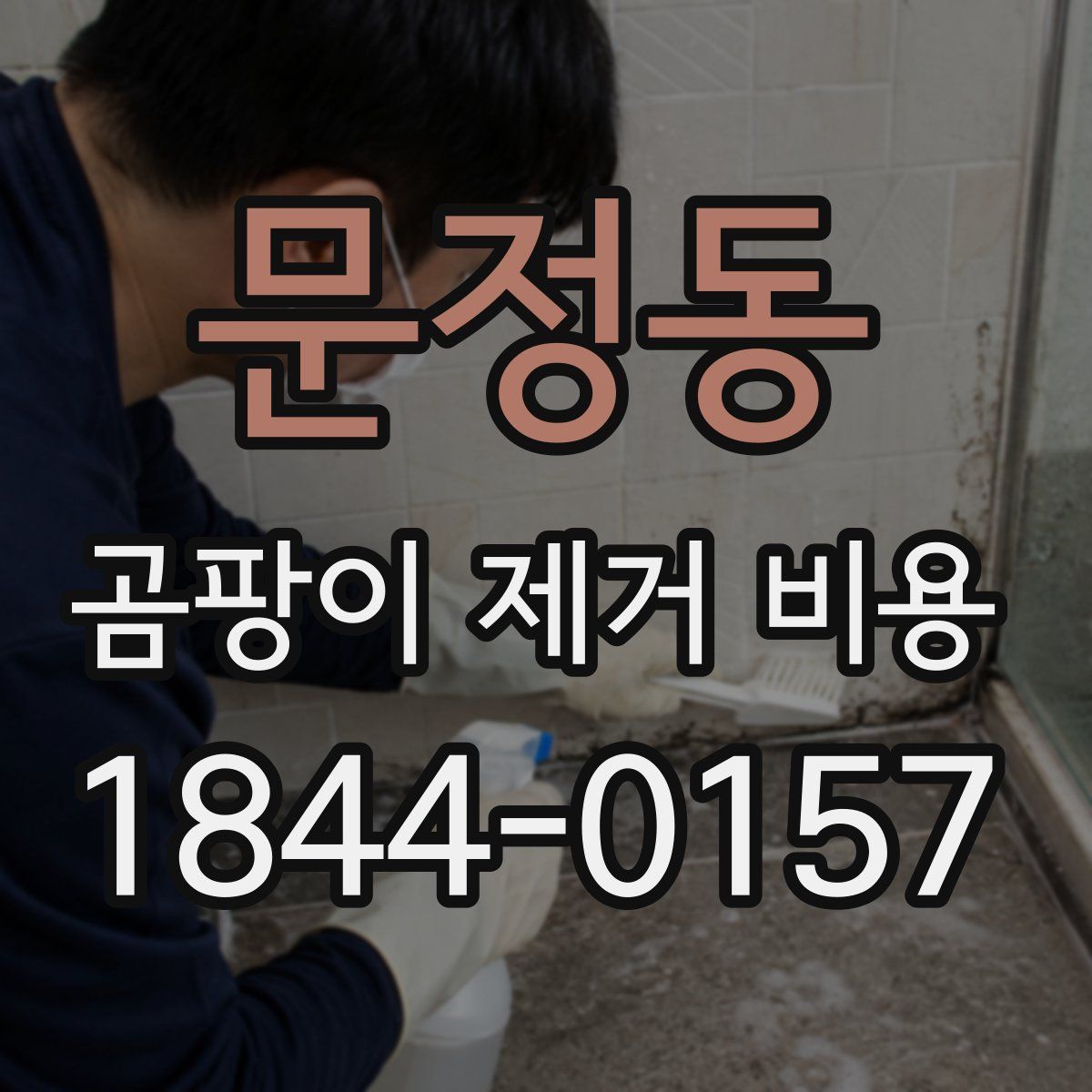 문정동 곰팡이 제거 비용