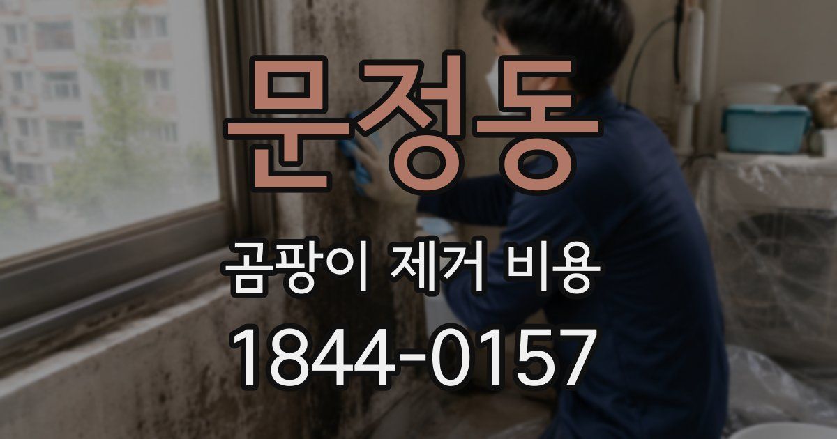 문정동 곰팡이 제거 비용